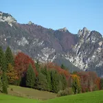 Pensionat Herzoghaeusel Bischofswiesen